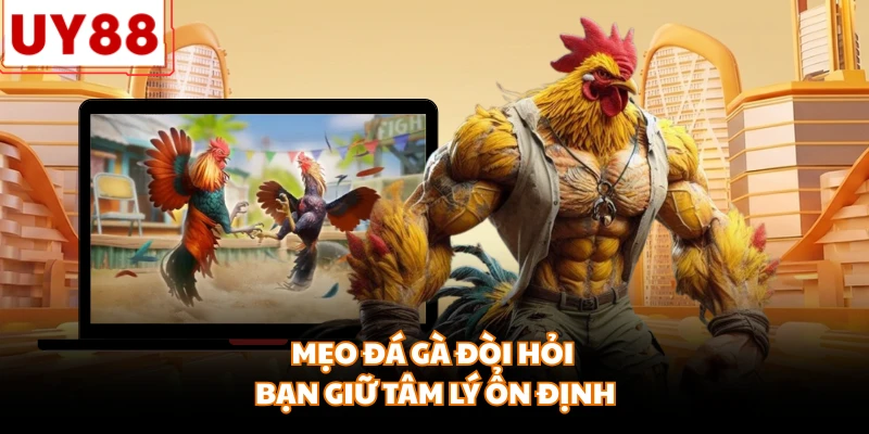 Mẹo đá gà đòi hỏi bạn giữ tâm lý ổn định