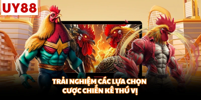 Trải nghiệm các lựa chọn cược chiến kê thú vị